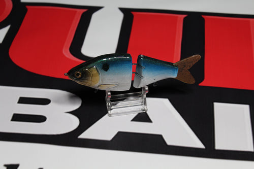 Sexy Shad